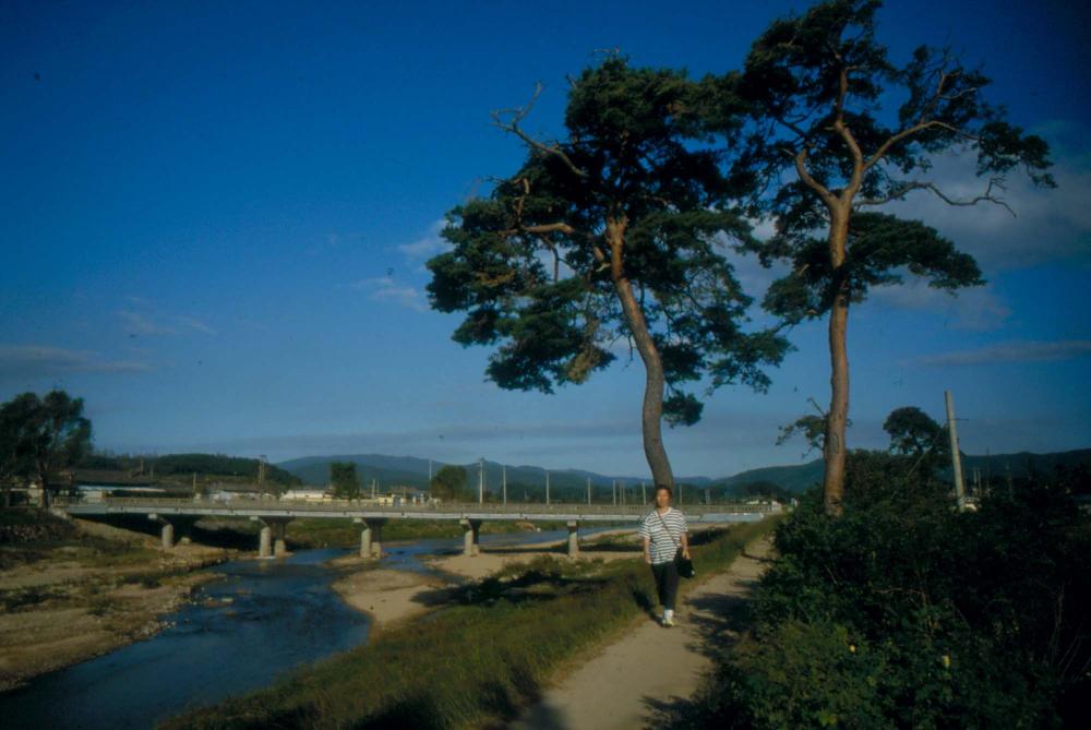 1984년 옥산서원 여행, 1987년 김차섭 한국미술관 개인전 슬라이드 필름