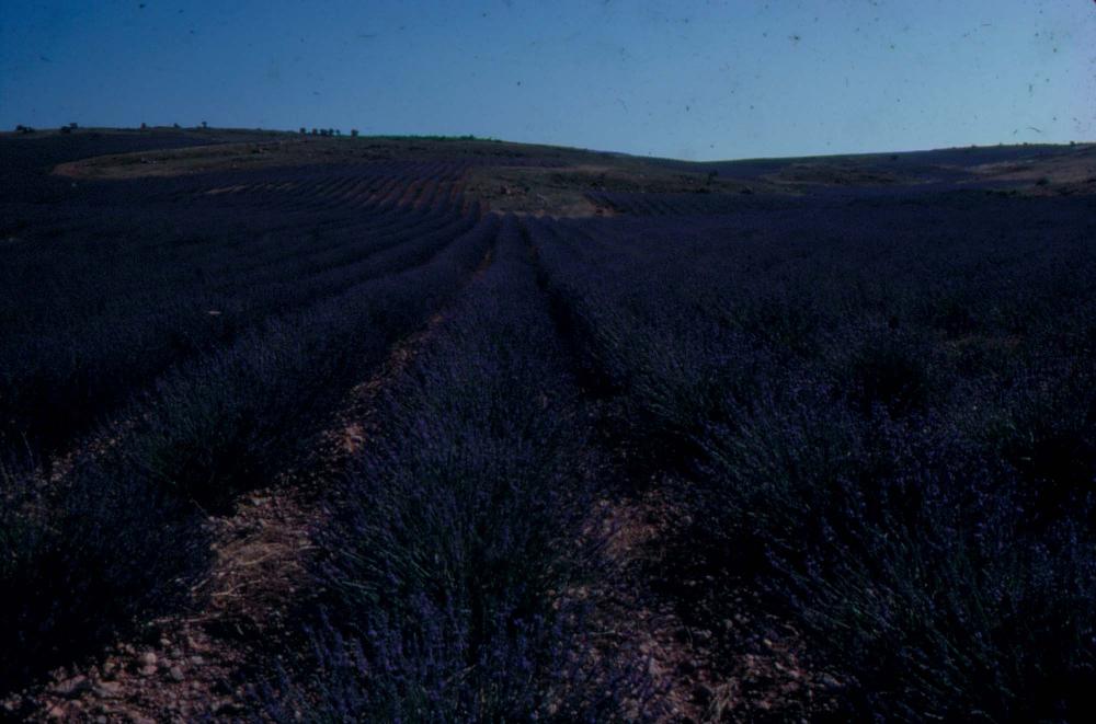 1984년 옥산서원 여행, 1987년 김차섭 한국미술관 개인전 슬라이드 필름
