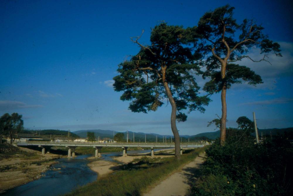 1984년 옥산서원 여행, 1987년 김차섭 한국미술관 개인전 슬라이드 필름