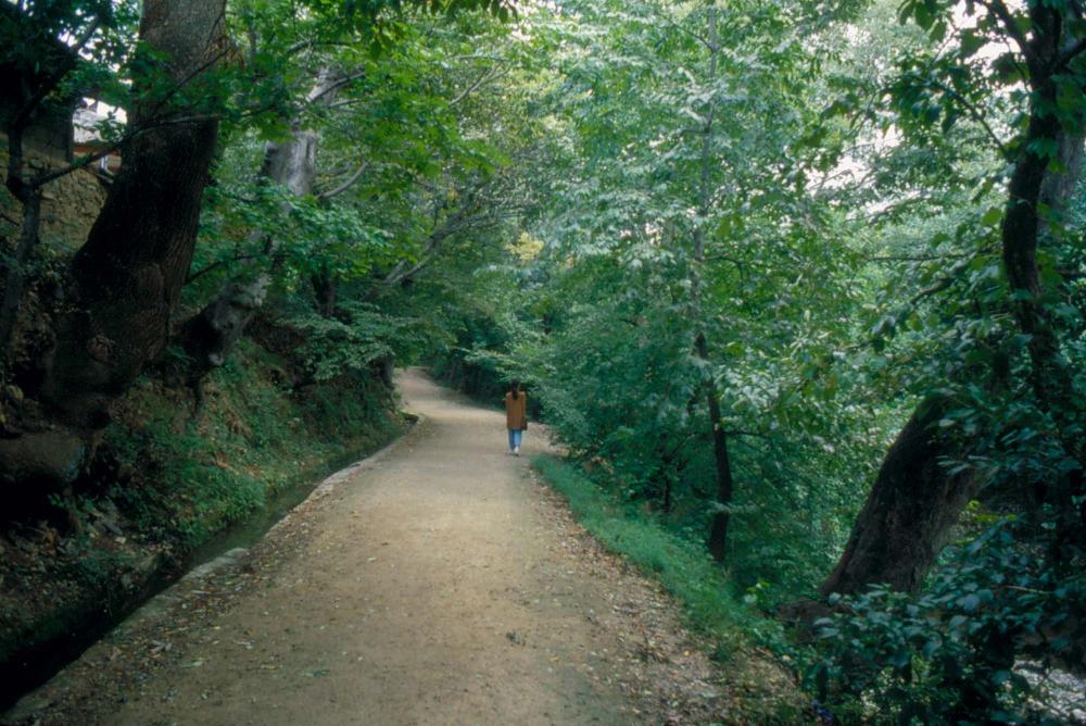 1984년 옥산서원 여행, 1987년 김차섭 한국미술관 개인전 슬라이드 필름