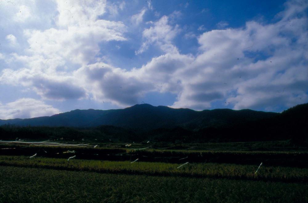 1984년 옥산서원 여행, 1987년 김차섭 한국미술관 개인전 슬라이드 필름
