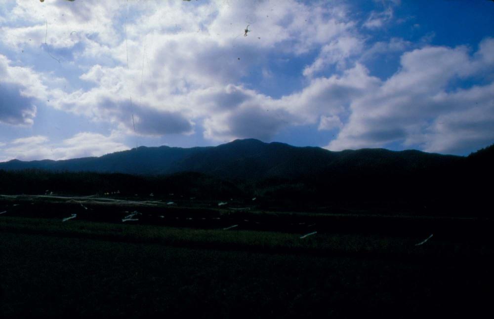 1984년 옥산서원 여행, 1987년 김차섭 한국미술관 개인전 슬라이드 필름