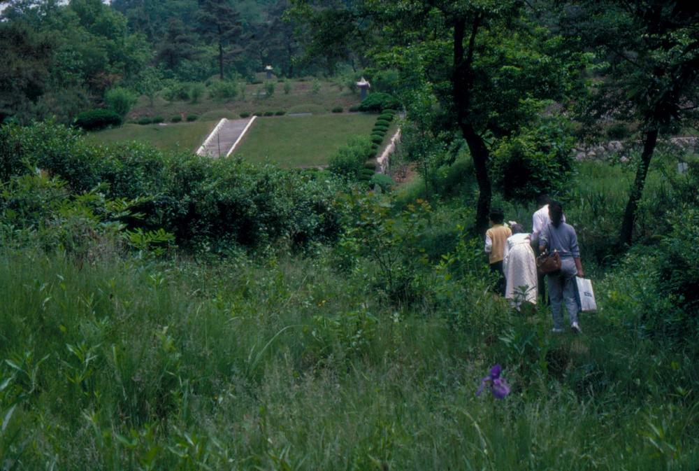 1984년 옥산서원 여행, 1987년 김차섭 한국미술관 개인전 슬라이드 필름