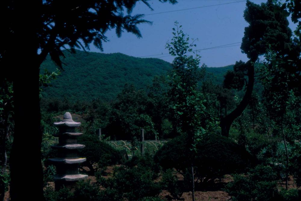 1984년 공간화랑 김차섭 개인전 및 일본 교토 전시 슬라이드 필름