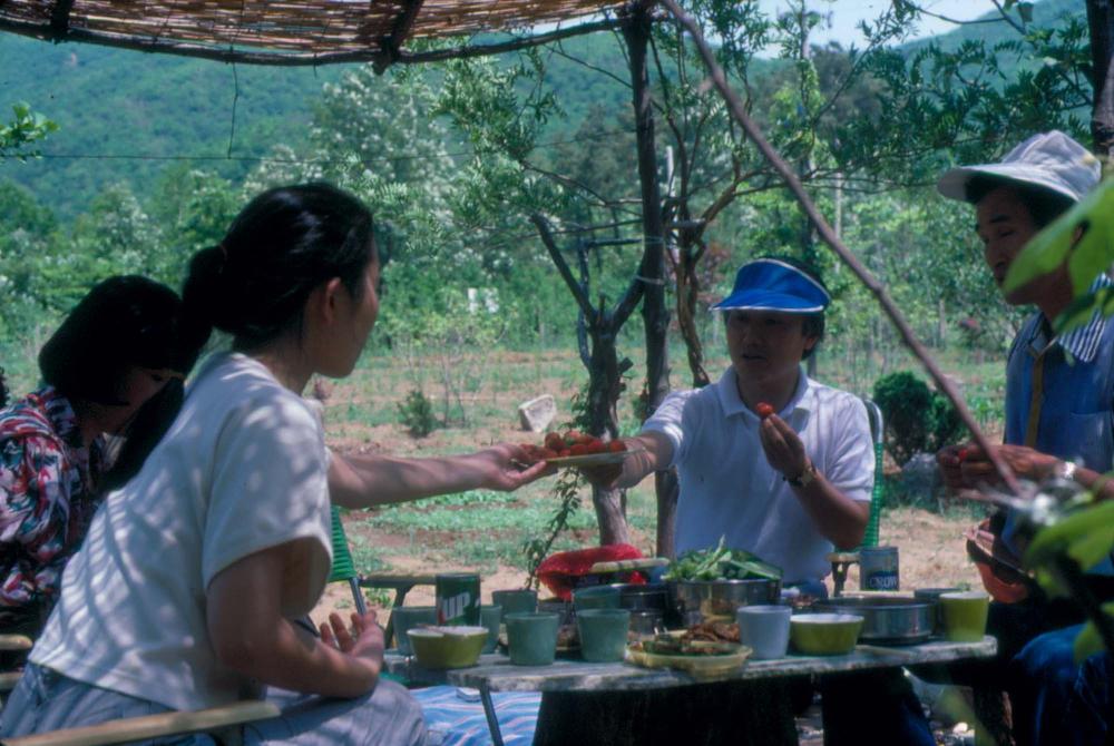 1984년 공간화랑 김차섭 개인전 및 일본 교토 전시 슬라이드 필름