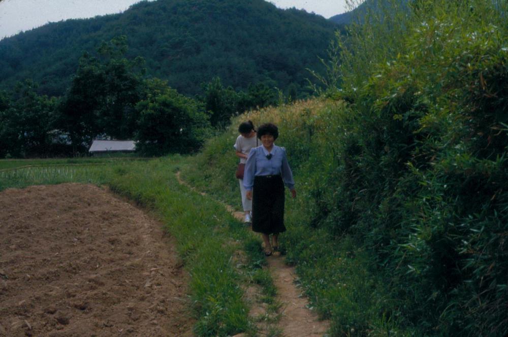 1984년 공간화랑 김차섭 개인전 및 일본 교토 전시 슬라이드 필름