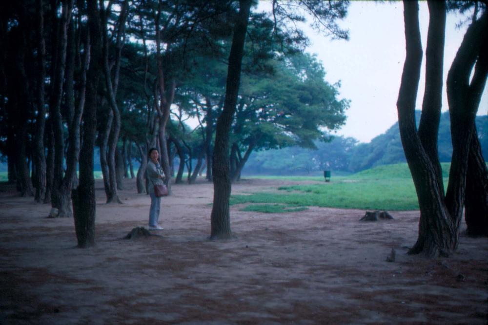 1984년 공간화랑 김차섭 개인전 및 일본 교토 전시 슬라이드 필름