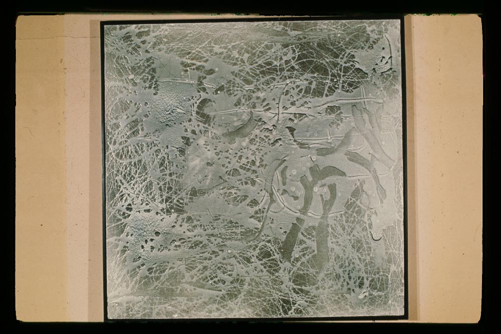 김명희 드로잉 작품 모음 사진파일