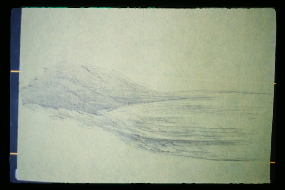 김명희 드로잉 작품 모음 사진파일