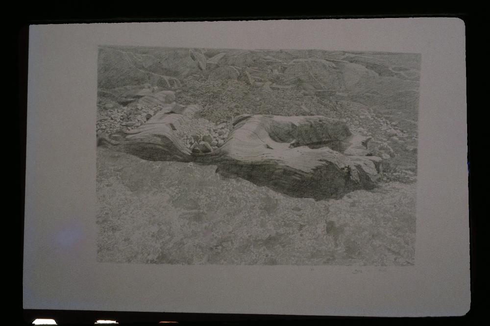 김명희 드로잉 작품 모음 사진파일