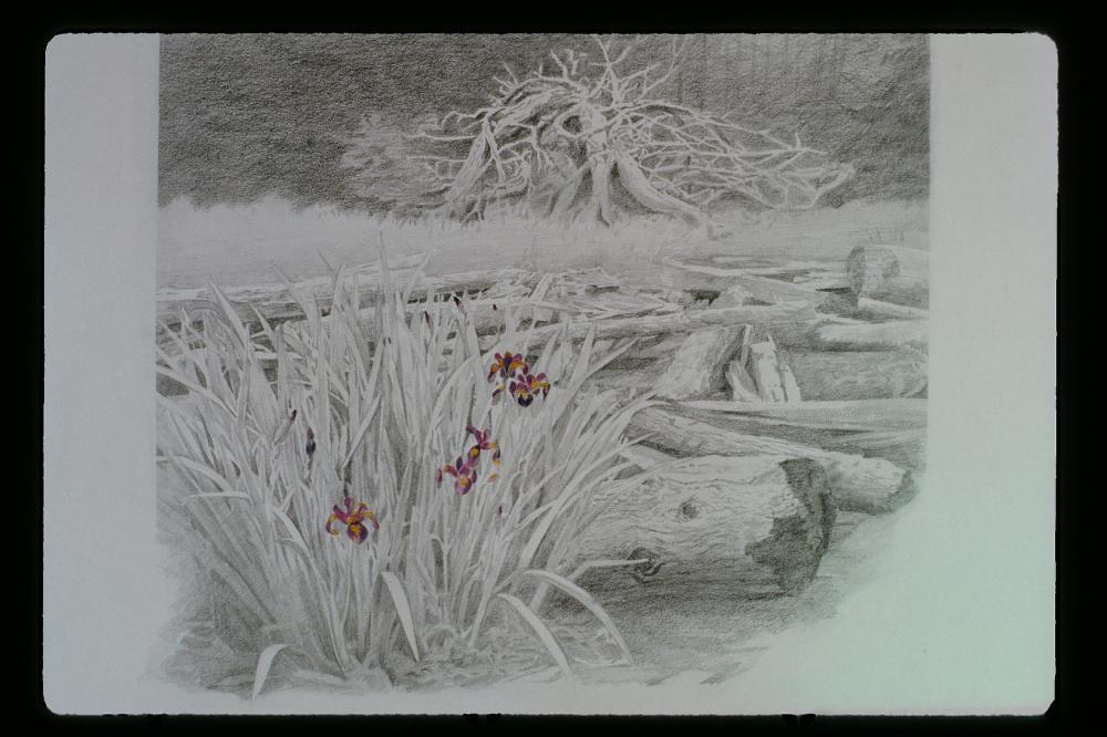 김명희 드로잉 작품 모음 사진파일