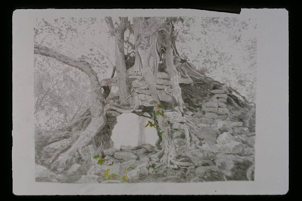 김명희 드로잉 작품 모음 사진파일