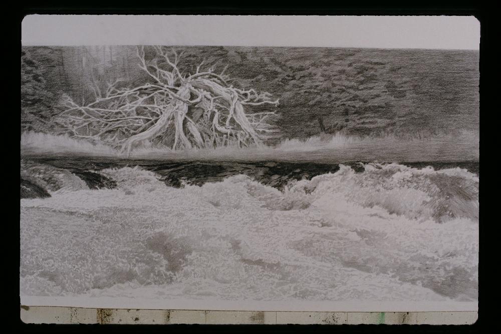 김명희 드로잉 작품 모음 사진파일