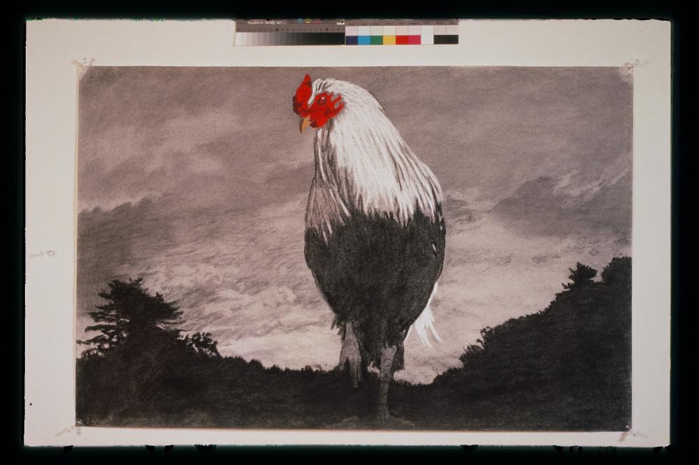 김명희 드로잉 작품 모음 사진파일