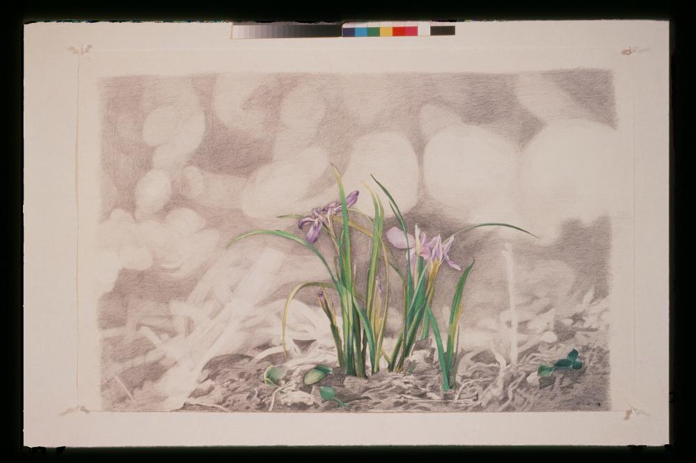 김명희 드로잉 작품 모음 사진파일