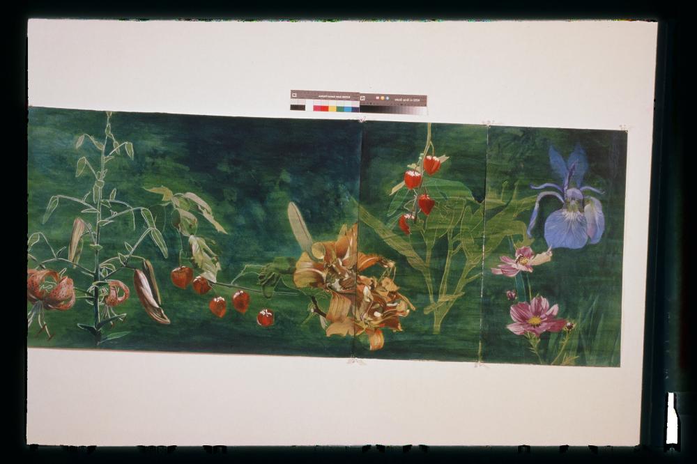 김명희 드로잉 작품 모음 사진파일