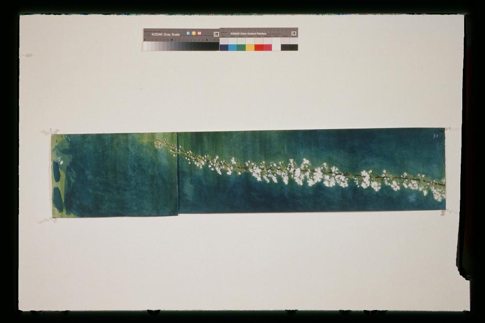 김명희 드로잉 작품 모음 사진파일