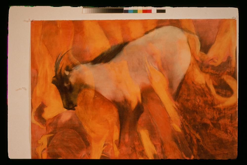 김명희 드로잉 작품 모음 사진파일