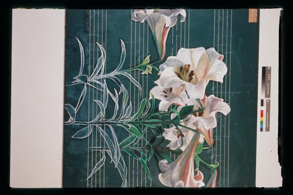 김명희 드로잉 작품 모음 사진파일