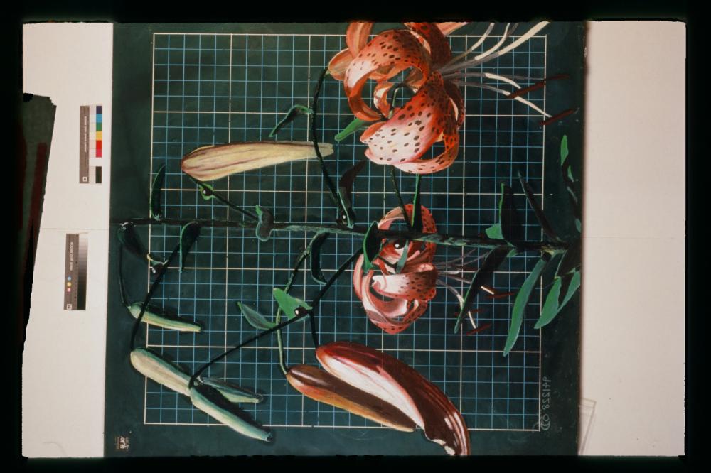 김명희 드로잉 작품 모음 사진파일