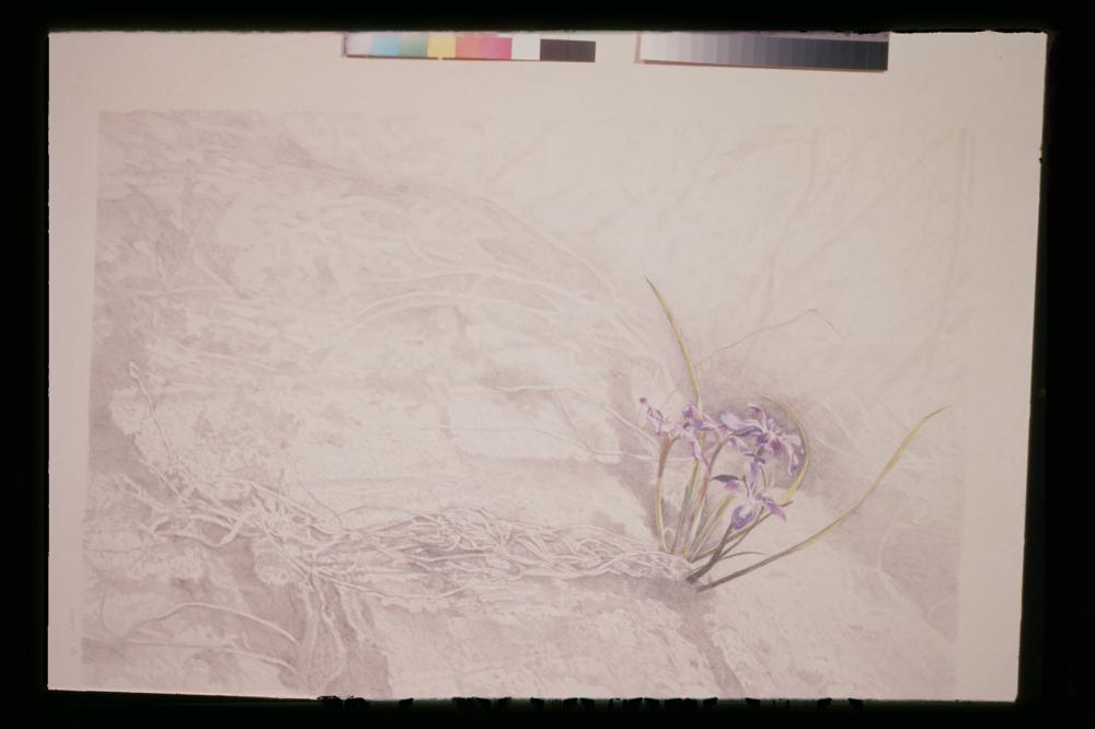 김명희 드로잉 작품 모음 사진파일