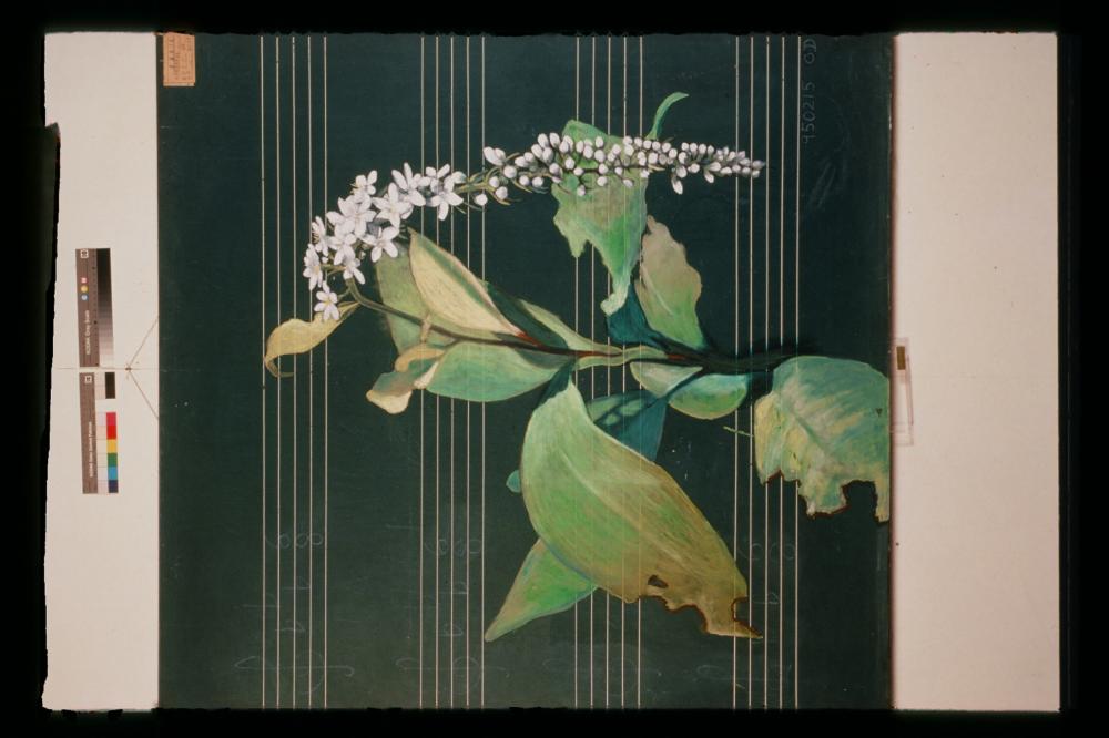 김명희 드로잉 작품 모음 사진파일