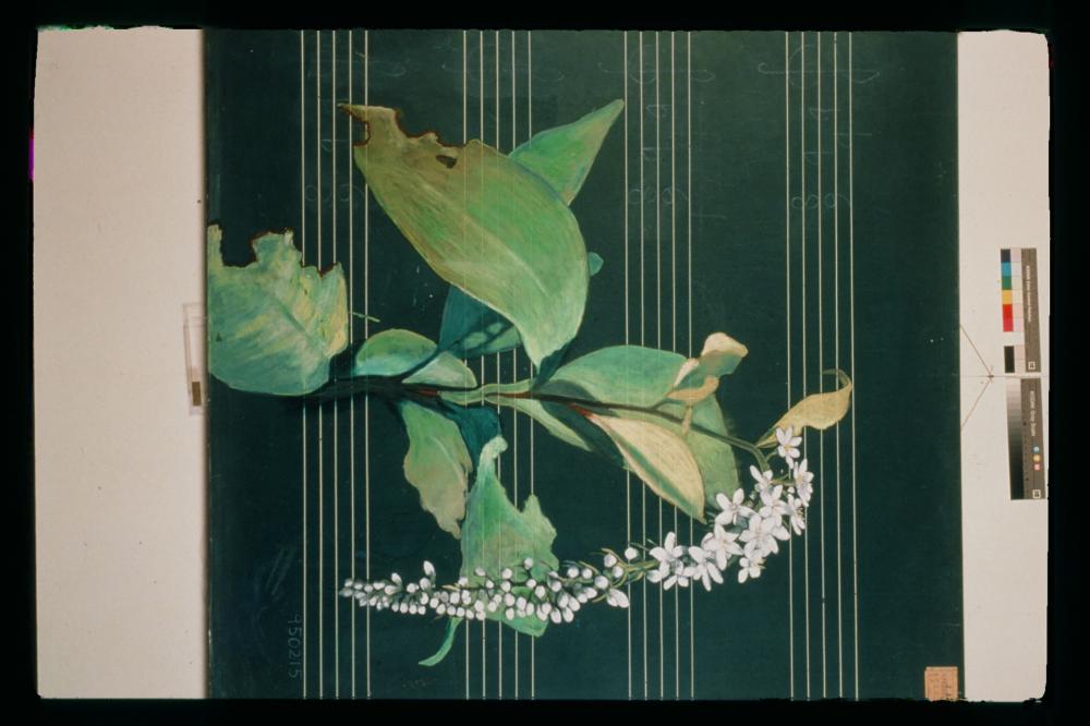 김명희 드로잉 작품 모음 사진파일