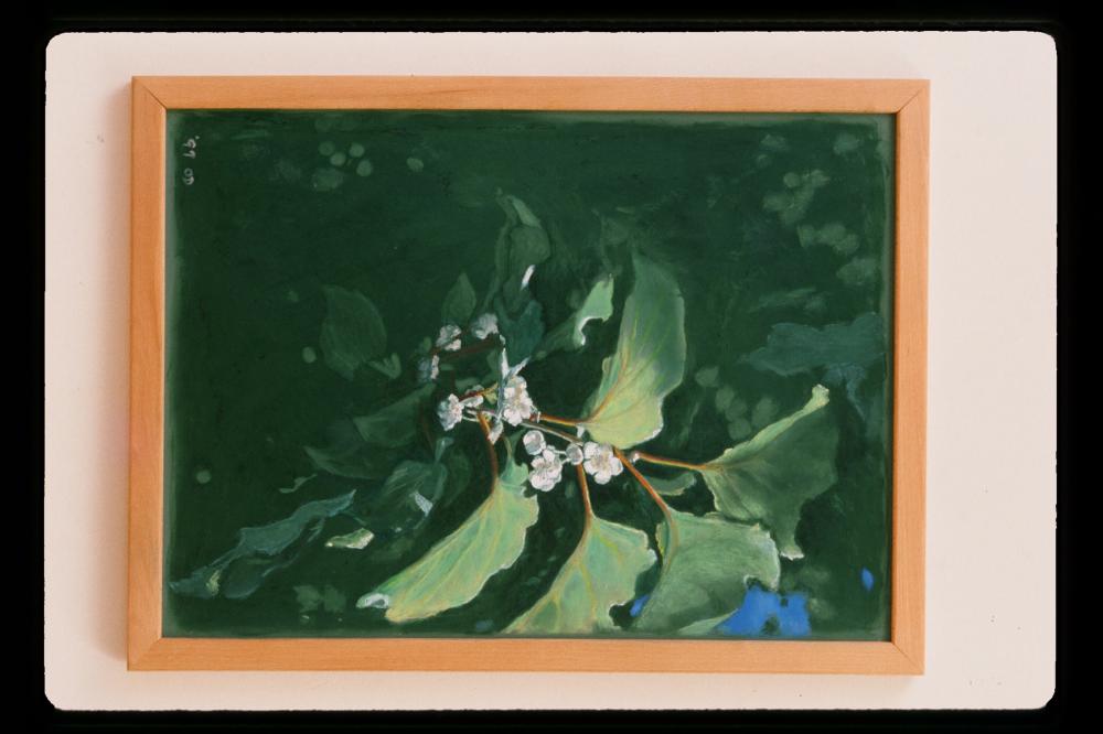 김명희 드로잉 작품 모음 사진파일