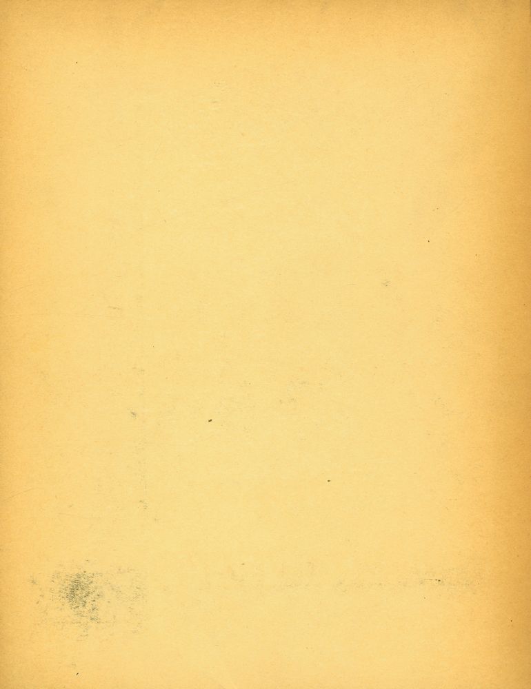 『Le Pont de l'Anglois : VAN GOGH』 3