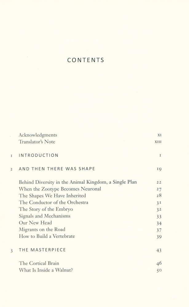 『The custom - made brain: cerebral plasticity, regeneration, and enhancement』 2