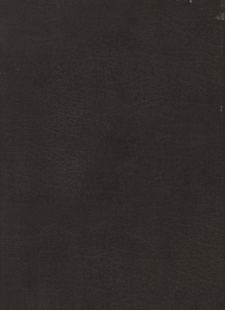 『L'HOMME EN PERSPECTIVE les primitifs d'Italie: histoire universelle de la peinture』 3