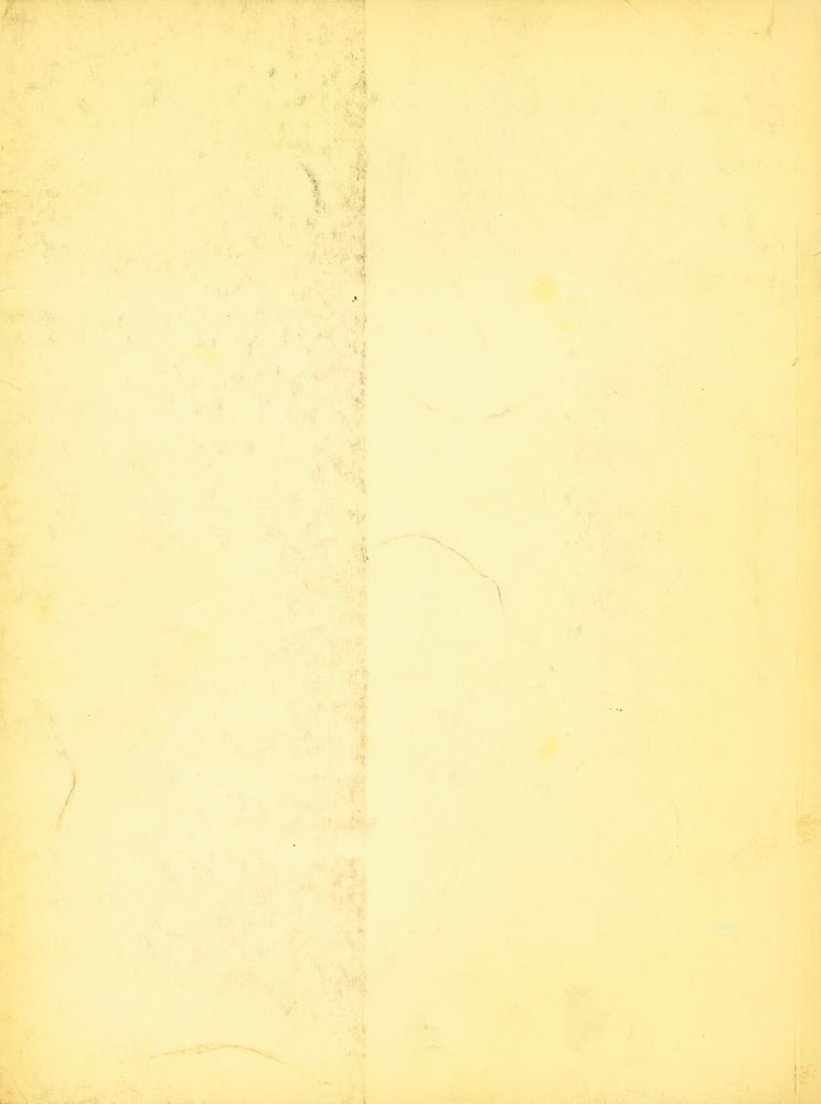 『CHEFS - D'ŒUVRE DE L'ART - L'ART ORNEMENTAL Nº 1 : LES VITRAUX DE CHARTRES』 3