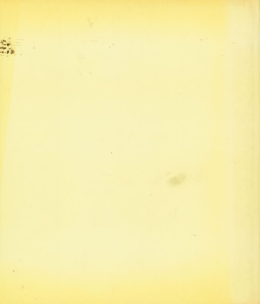 『Le Vitrail gothique au XIIIe siècle』 4