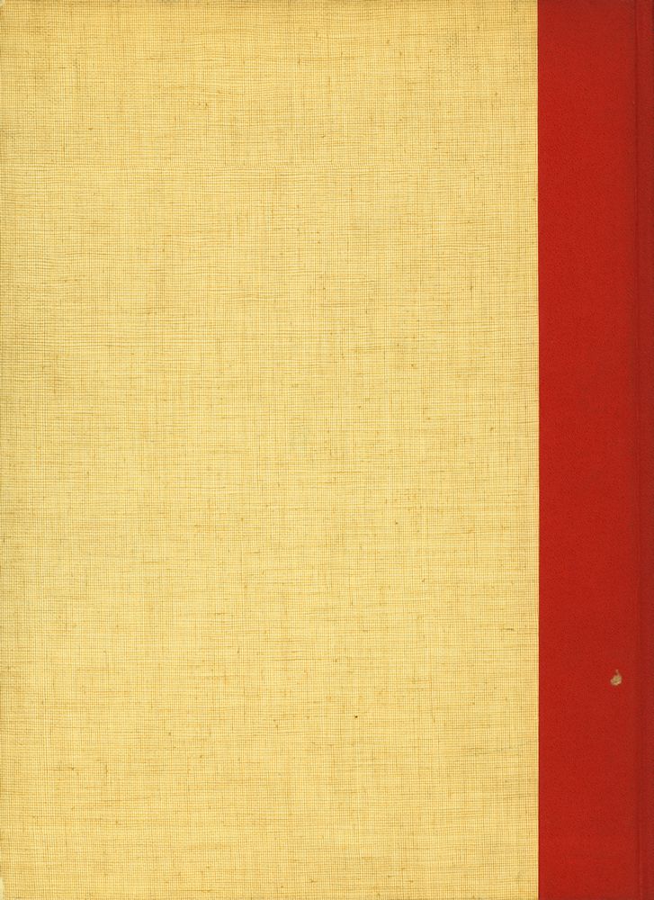 『VELAZQUEZ』 3