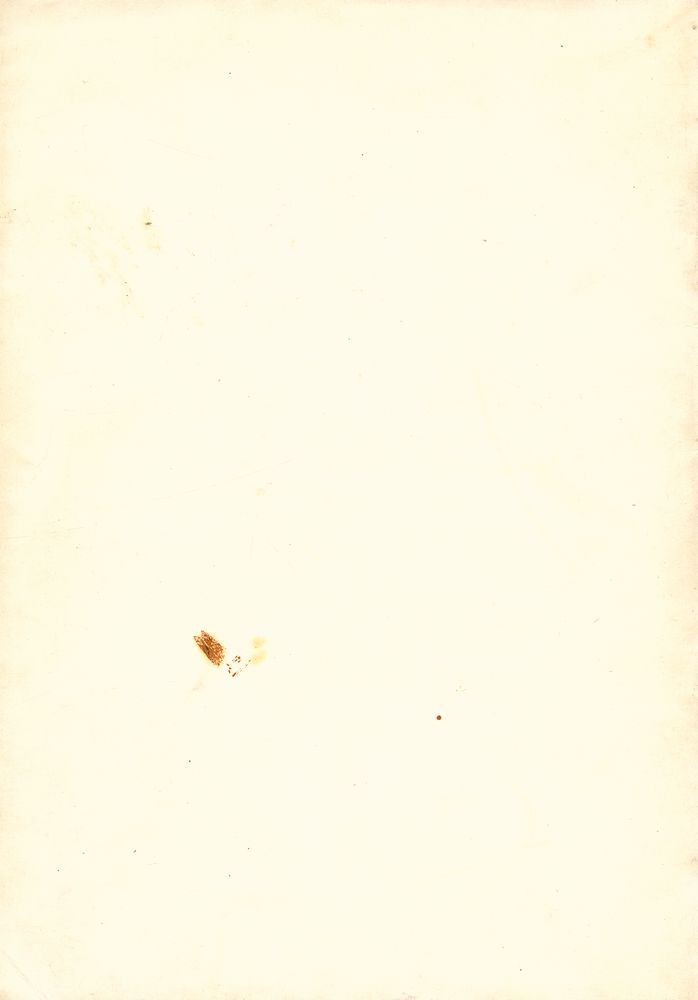 『Modigliani : PORTRAITS』 4