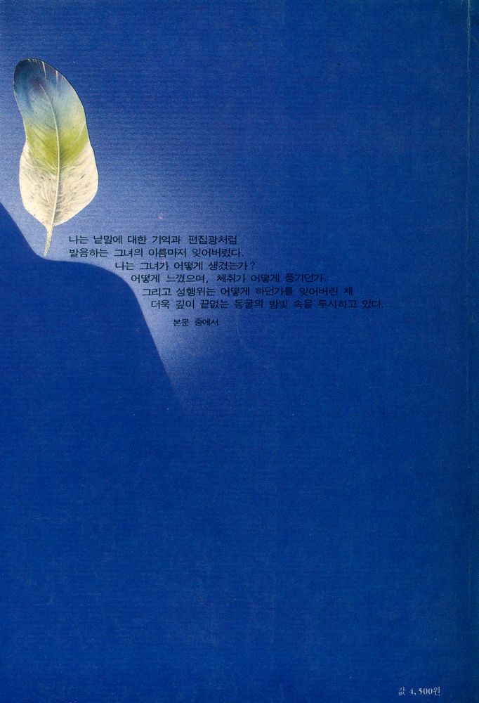 『남회귀선』 3