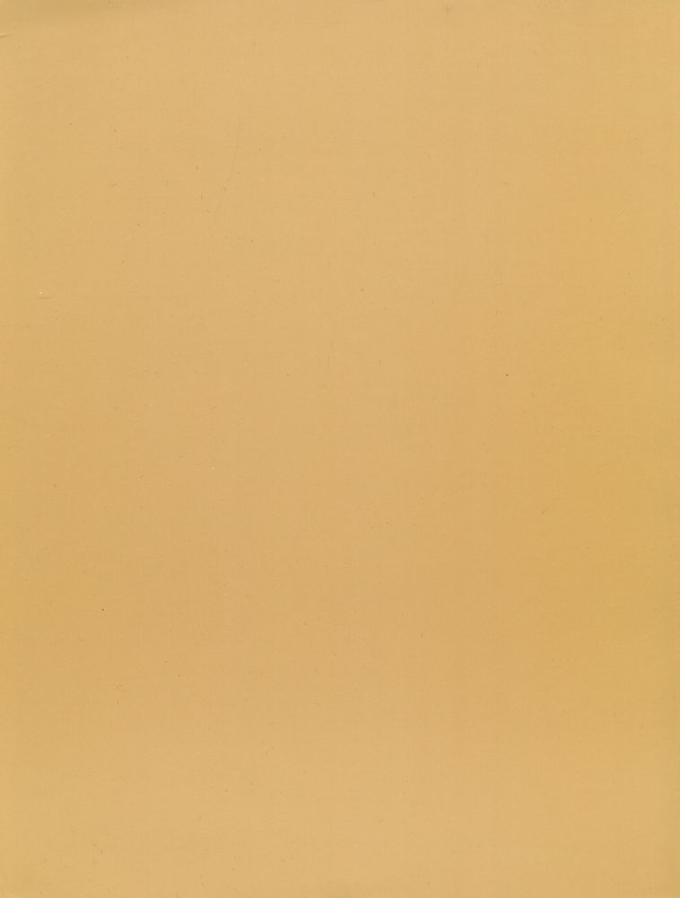 《Bruegel, une dynastie de peintres》 4