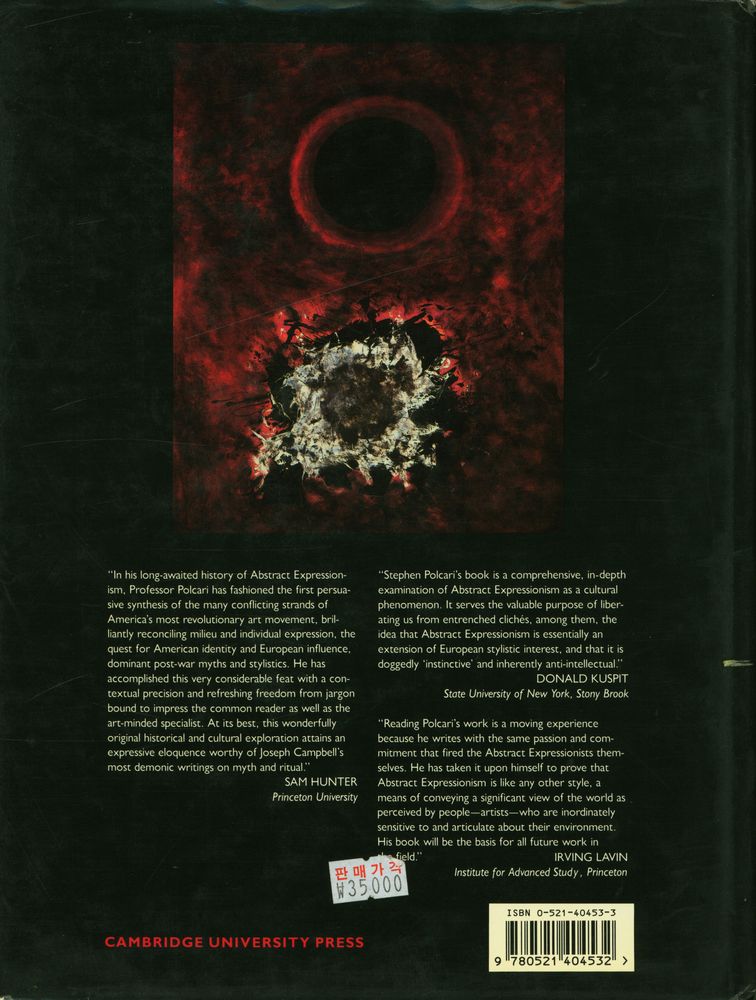 『Abstract Expressionism and the modern experience』 4