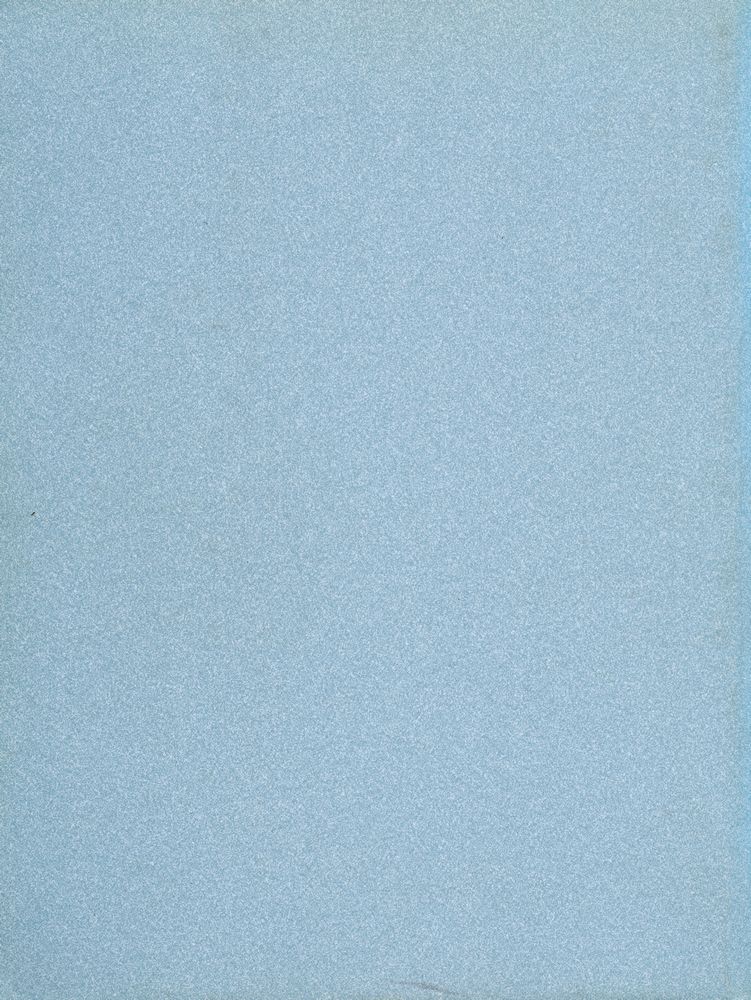 『The aesthetics and psychology of the cinema』 3