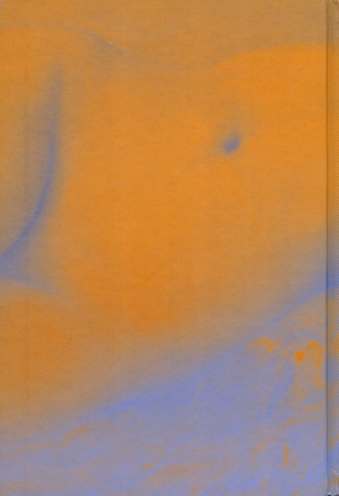 『현대의 문학 이론 34 - 육체와 예술』 3