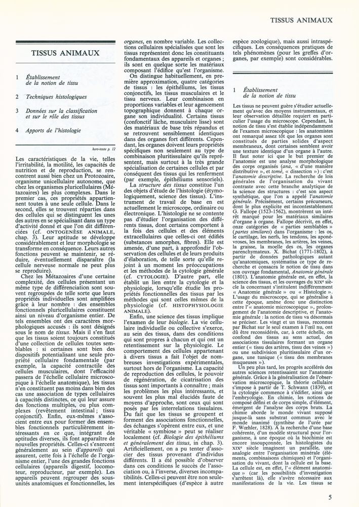 『ENCYCLOPAEDIA UNIVERSALIS 18 - TISSUS - ZYGOPHYCÉES』 3