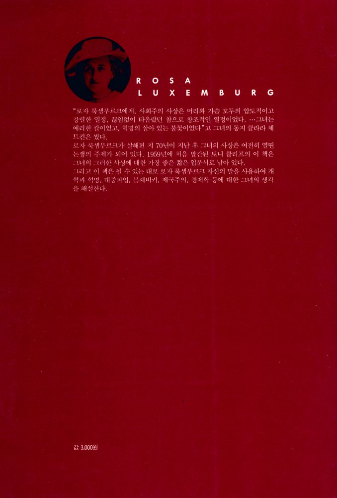 『책갈피 정치신서 2 - 로자 룩셈부르크』 3