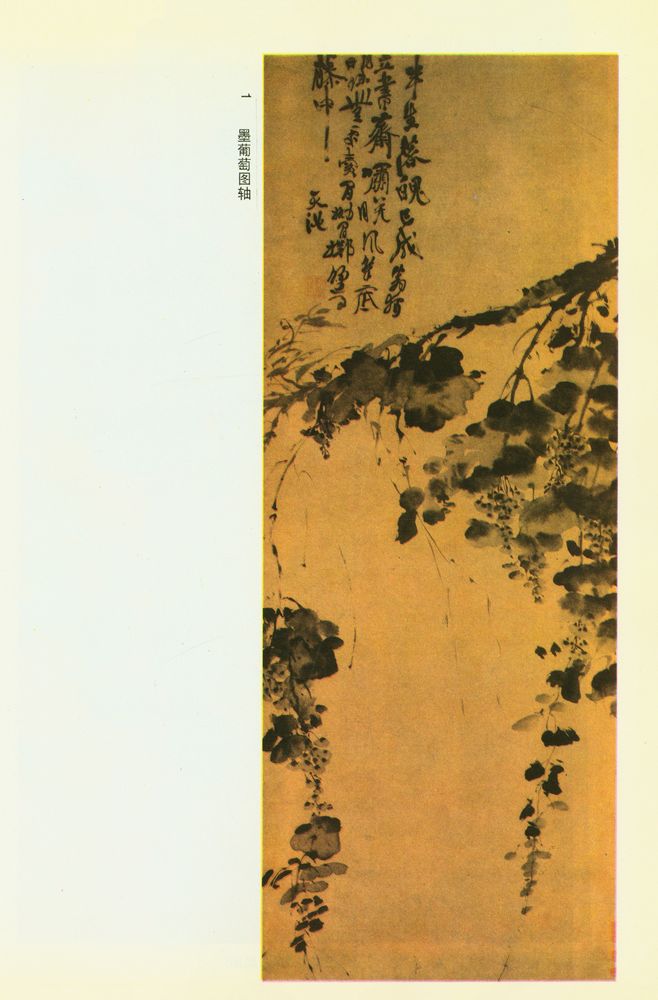 『徐渭、石涛花鸟画风』 2