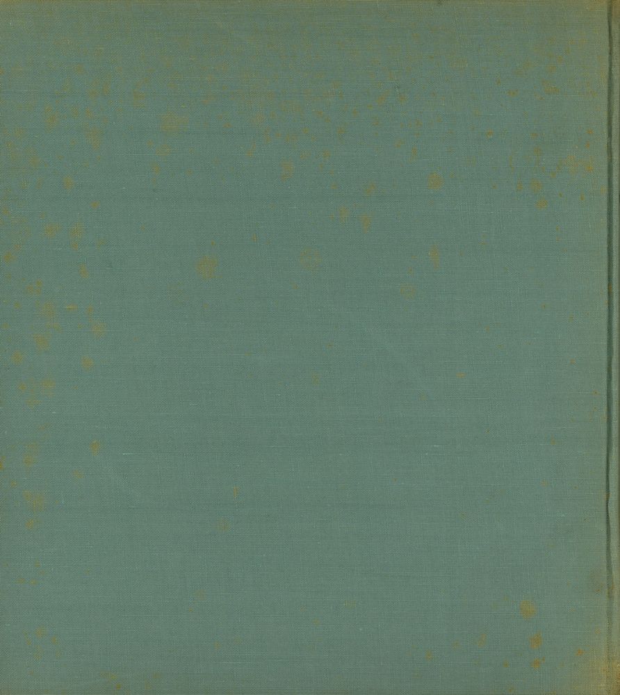 『L'AGE D'OR FLAMAND』 3