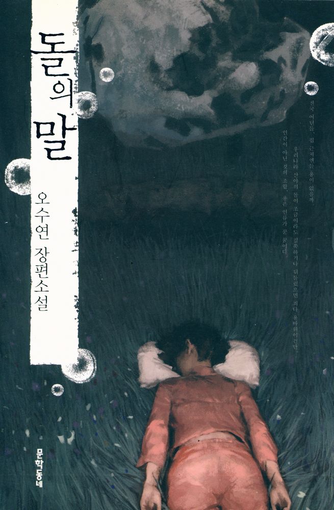 『문학동네 장편소설 : 돌의 말』 1