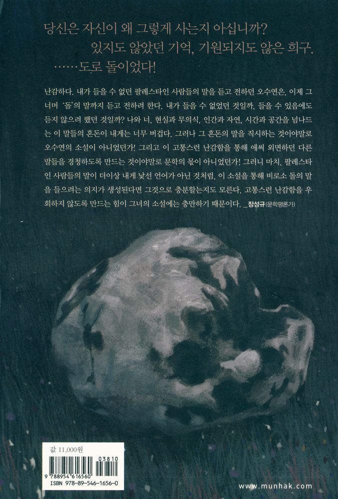 『문학동네 장편소설 : 돌의 말』 3