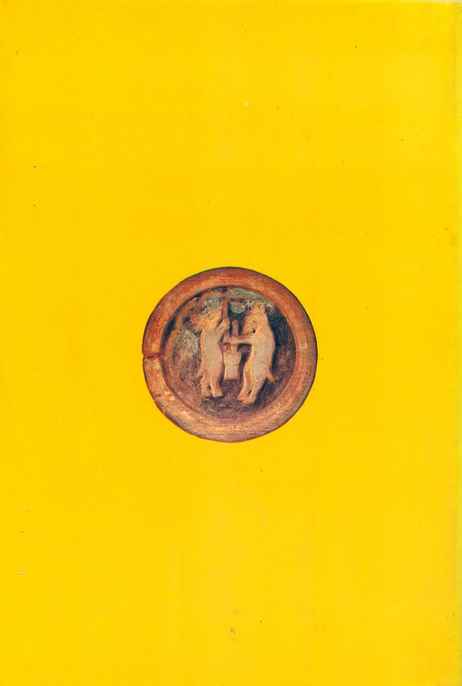 『新譯 華嚴經(신역 화엄경)』 5