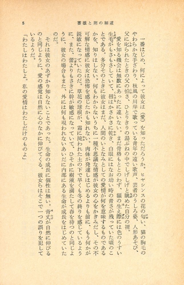 『薔薇と荊の細道 』 2