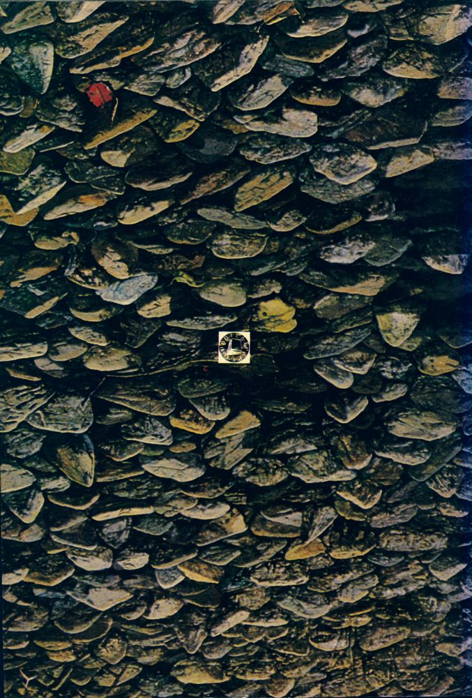 『韓國近代史 散策(한국근대사 산책)』