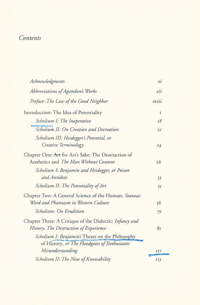 『GIORGIO AGAMBEN : A Critical Introduction』 2